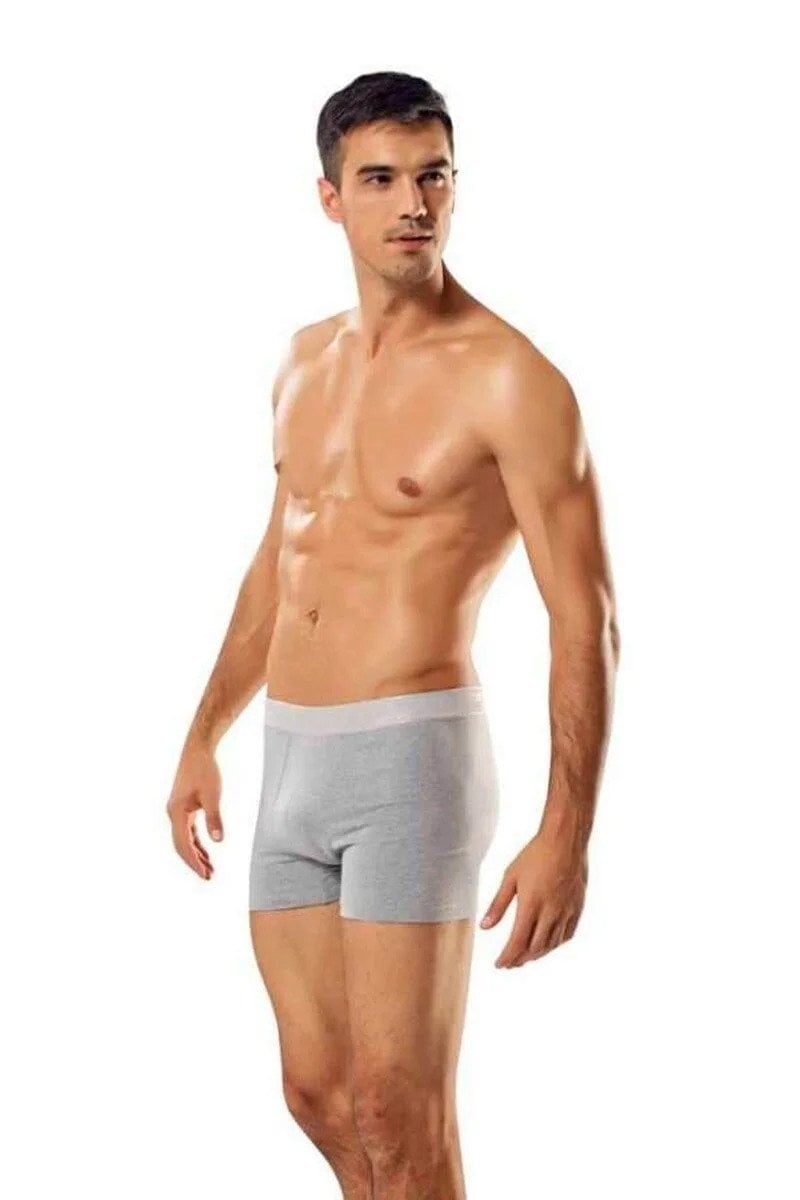 Gümüş Likralı Boxer 4018 XL - Gri