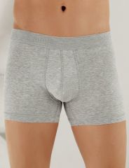 Şahinler Likralı Şahinler Yazılı Torbalı Boxer ME031 L - Gri